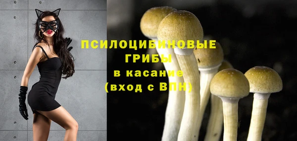 винт Богородицк