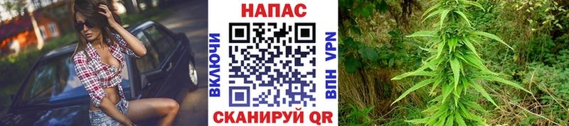 Каннабис Ganja  Смоленск 